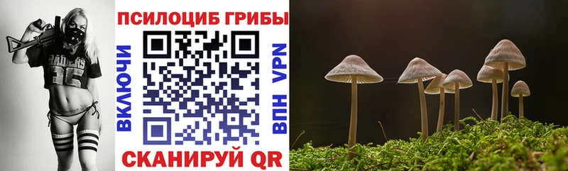 Псилоцибиновые грибы MAGIC MUSHROOMS  Бологое 