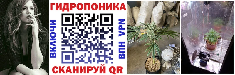 Бошки марихуана гибрид  что такое наркотик  Бологое 